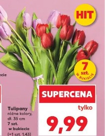 Tulipany