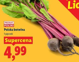 Polska botwina