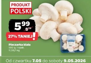 Pieczarka biała