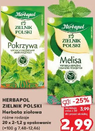 Herbapol Zielnik Polski herbata ziołowa