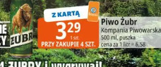 Piwo Żubr Kompania Piwowarska