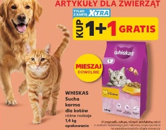 Whiskas Sucha karma dla kotów różne rodzaje