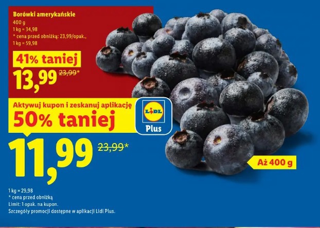 Borówki amerykańskie