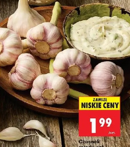 Czosnek młody