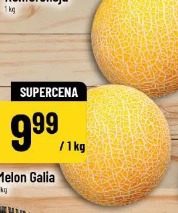 Melon Galia