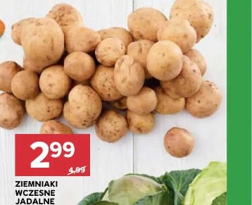 Ziemniaki wczesne jadalne