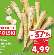 Polska pietruszka korzeń