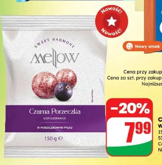 Czarna porzeczka liofilizowana w pyłku Mellow