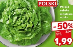 Polska sałata masłowa