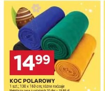 Koc polarowy