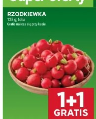 Rzodkiewka