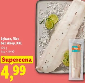 Zębacz filet bez skóry XXL