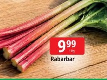 Rabarbar