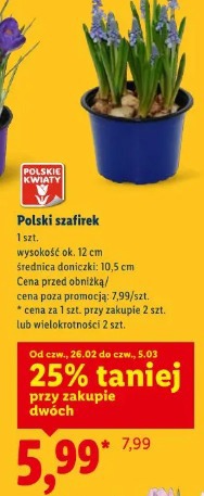Polski szafirek