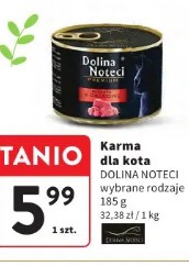 Dolina Noteci karma dla kota