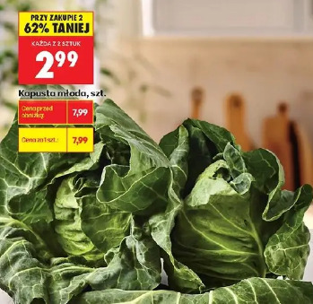 Kapusta młoda