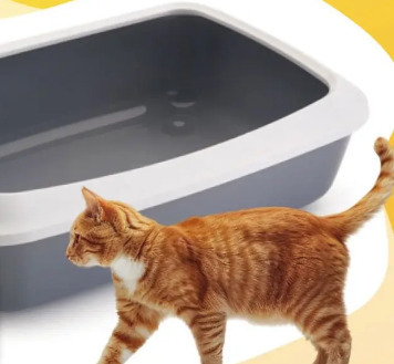 Kuweta z ramką TATARPET