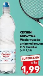 Woda wysoko-zmineralizowana Cechini Muszyna