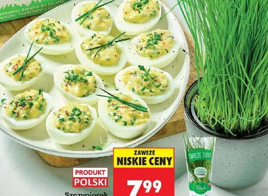 Szczypiorek w doniczce Vital Fresh