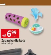 Zabawka dla kota