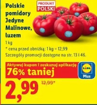 Polskie pomidory Jedyne Malinowe