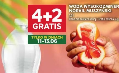 Woda wysokozmineralizowana Norvil Muszyński