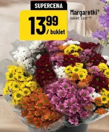 Margaretki