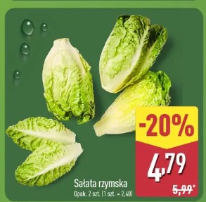 Sałata rzymska