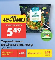 Zupa wiosenna Mrożona Kraina