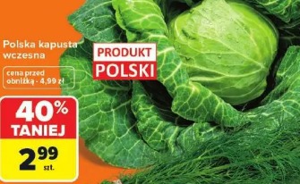 Polska kapusta wczesna