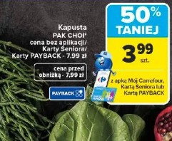 Kapusta Pak Choi