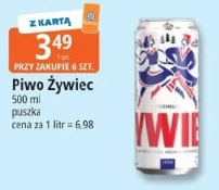 Piwo Żywiec