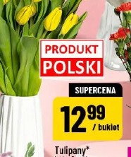 Tulipany