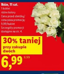 Róże