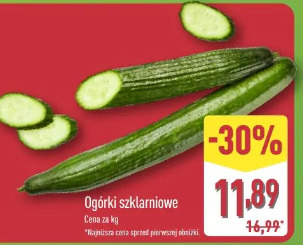 Ogórki szklarniowe