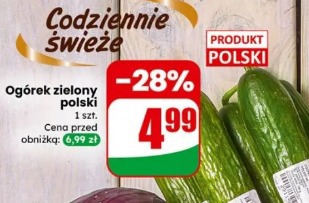 Ogórek zielony polski