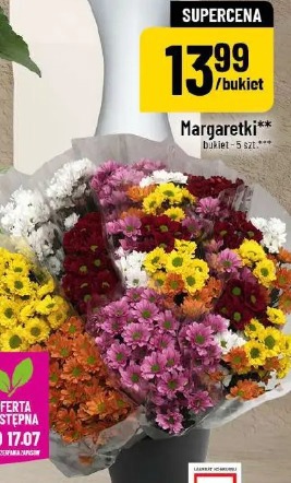 Margaretki