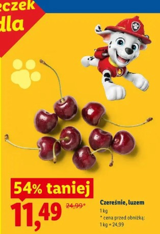 Czereśnia