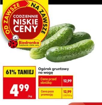 Ogórek gruntowy