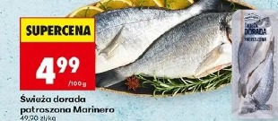 Świeża dorada patroszona Marinero