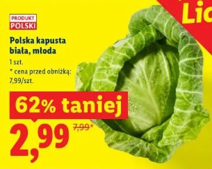 Polska kapusta biała, młoda