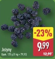 Jeżyny