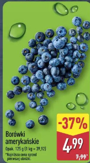 Borówki amerykańskie