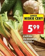 Zestaw do kiszenia ogórków