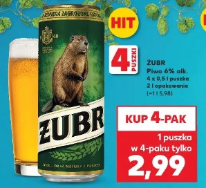 Żubr Piwo 6% alk.