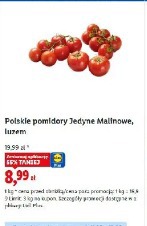 Polskie pomidory jedyne malinowe