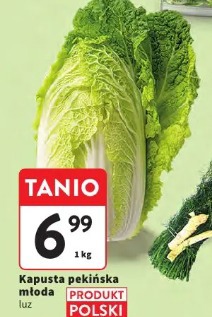 Kapusta pekińska młoda