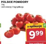 Polskie pomidory