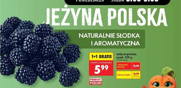 Jeżyna polska