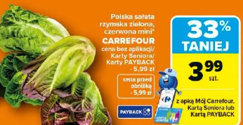 Polska sałata rzymska zielona, czerwona mini Carrefour